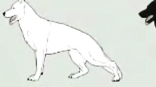 الكلب الالماني