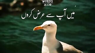 Zindagi ke kia haqeeqt han aik time aisa ata han k banda bilkol akeela reh jata han