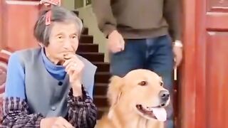 عالم الحيوانات