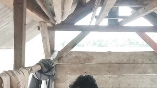 Petani prat2, ilmu padi