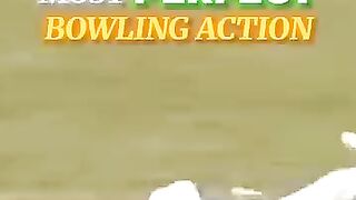 Australian Former Great Bowler Breet Lee Bowling Analysis.