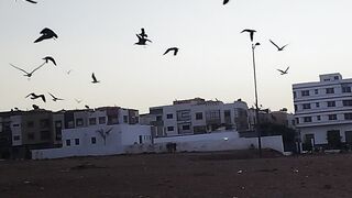 منظر جميل صباح يوم الجمعة