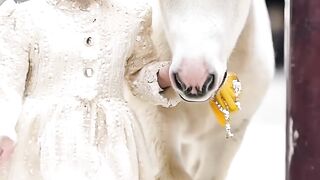 Adorable Baby and Animal Fashion Show#cute#fashion#baby#AI