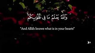 Quran motivational vedio