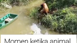 waktunya makan
