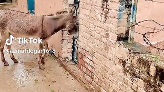 140948cbde4d865060f430f0bf9ff6c2.mp4f