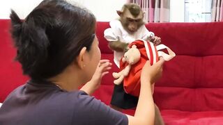 Monkey getting ready for school