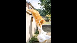 The Gourmet Cat: Cunning & Delicacies – The Clever Cat’s Feast -- Le Chat Gourmet : Ruse et Délices - Le Festin du Chat Malin