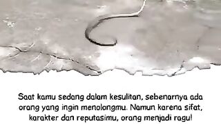 ???? : tolongin gua we,jangan cuman dilihat sama vidioin doang????