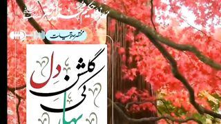 گلشن دل کی بہار
