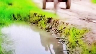 في بعض الاحيان تريد فقط ان تضحك