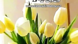 صباح الورد والياسمين