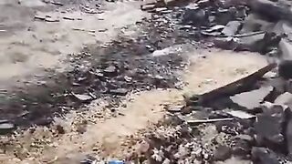 ???? The destruction caused by the Zionist Israeli occupation army during the ongoing aggression against the Tulkarem camp