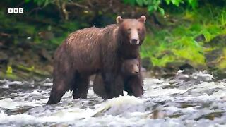 Explore The Secret Areas of Earth Where Nature Remains Untouched