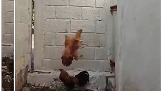 Woman can't do what man can do