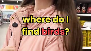 Where do i find brids?