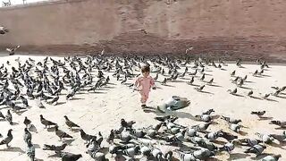 Child playing with pigeons