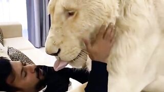 Dubai ---- King -- Sheikh Nawab With White Tiger -- Lion -- White Tiger -- _Dubai_