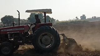 Agriculture