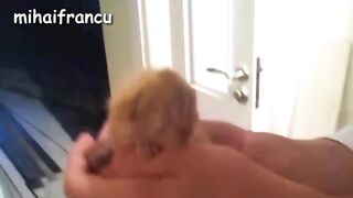Fany videos