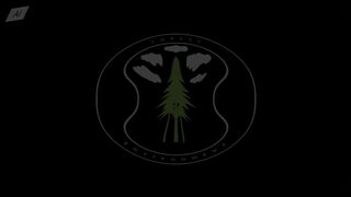 FOREST ENVIRONMENTAL LOGO [ SYMBOLIC LOGO
