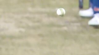 Harris in t20world cups
