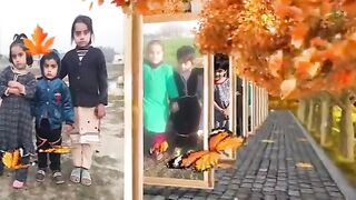 Entertainment