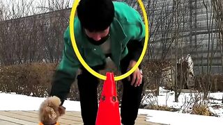 amazing dogy