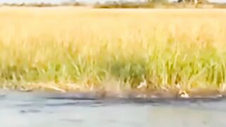 lione cross river