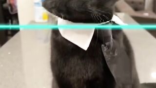 DRAWING Pets TIME WARP Filter TIKTOK COMPILATION