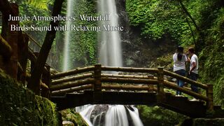 Relax Music with nature birds sounds of forest waterfall for relaxing, sleeping, meditation and yoga