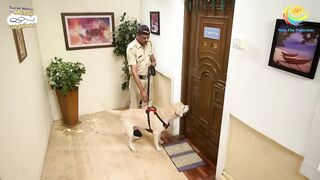 Sneak peek taarak mehta ka ooltah chashmah