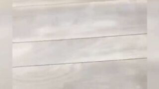 cats that looks like plying with ball