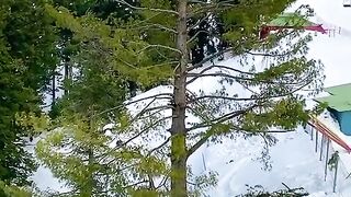 Beautiful nature