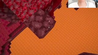 Minecraft Cartoon Moment