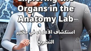 Exploring the Organs in the Anatomy Lab