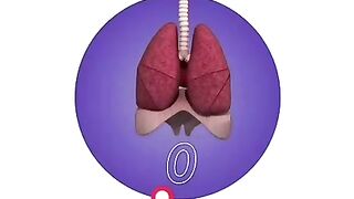 Test Your Lungs at Home