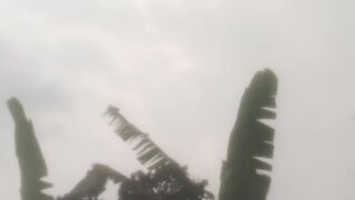 The sky shot