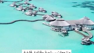 A dangerous plan for Gaza.. Luxury resorts in exchange for giving up land!