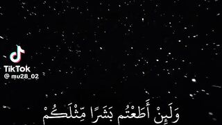 القرأن الكريم
