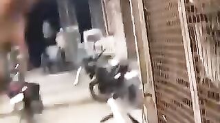 membebaskan anjing