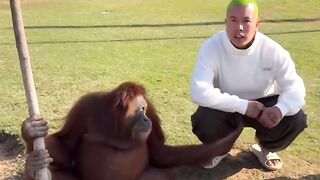 Funny video