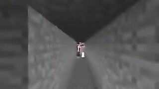 POV_ You Meet the Luckiest Minecraft Player