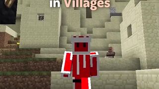 Types of Minecraft Players in Villages.