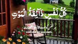 Alquran aesthetics