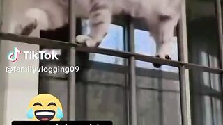 _????????????????i _foryouシ _comedy