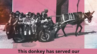 This donkey has served