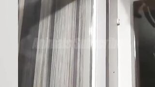 Try not to laugh 2 | Funny cats and dogs