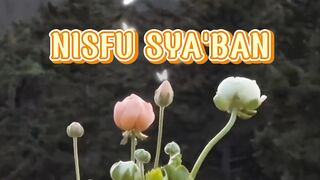 Nisfu Sya'ban