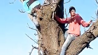 Hunters on tree